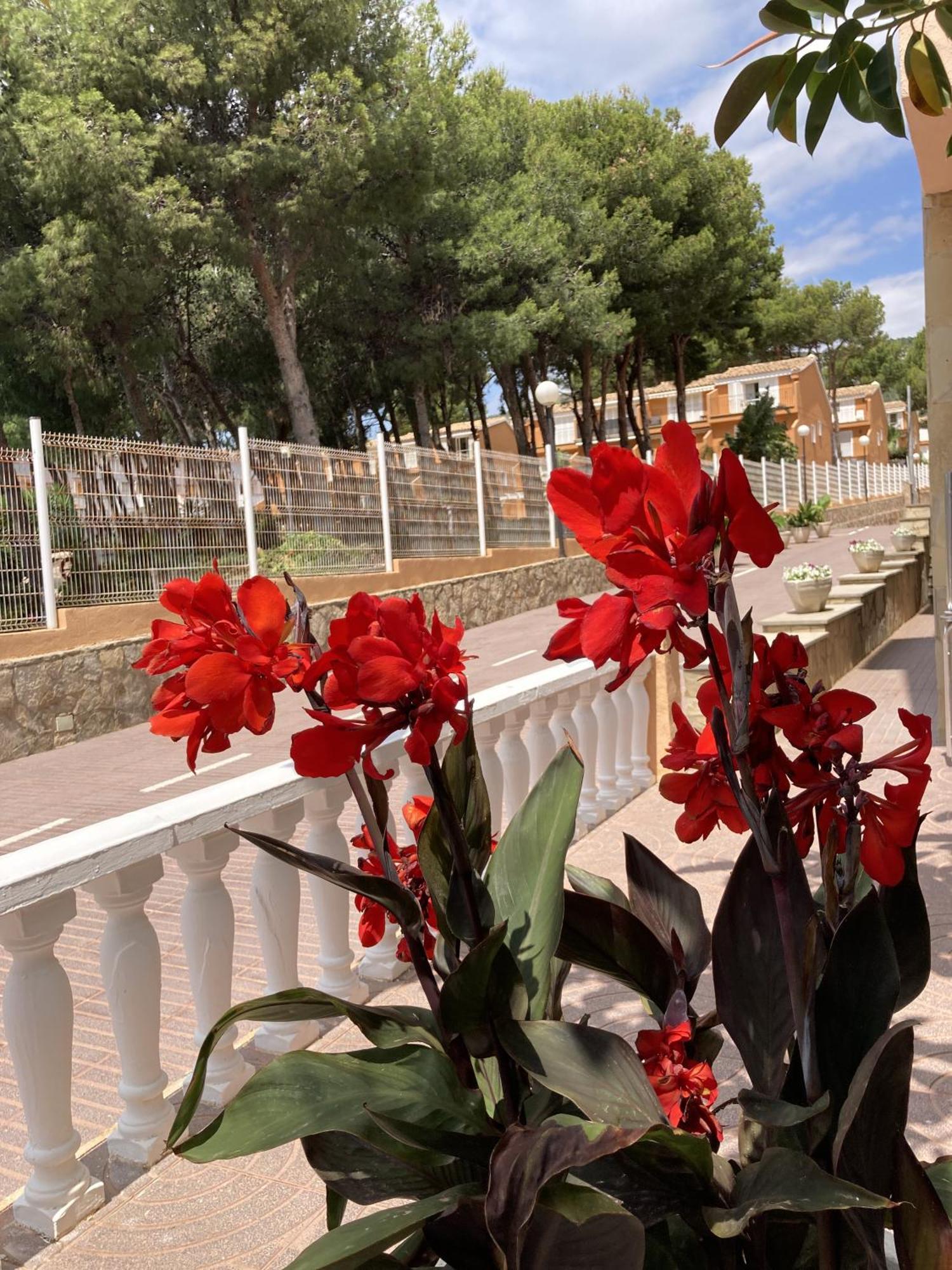 Hotel Sancho III Alcoceber Экстерьер фото
